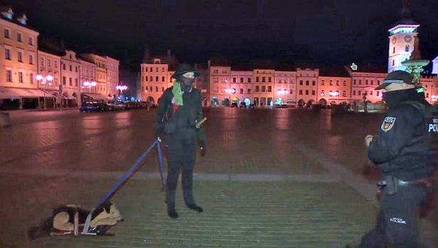 https://www.greekmediagroup.com.au/wp-content/uploads/2020/11/3_a-man-caught-walking-a-toy-dog-via-czech-television-pwdwv.jpg
